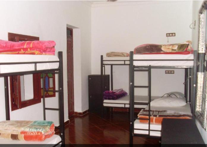 طنجة Hostel The Atlas Lion المظهر الخارجي الصورة