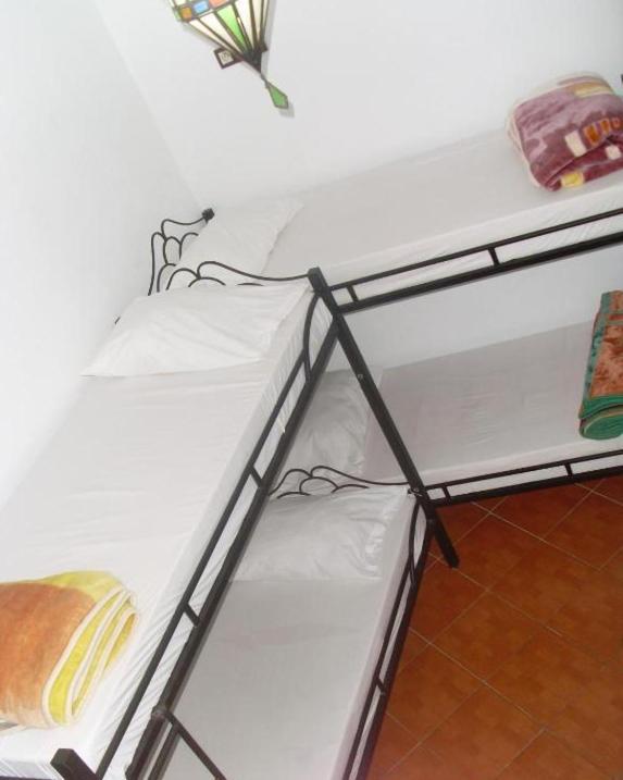 طنجة Hostel The Atlas Lion المظهر الخارجي الصورة